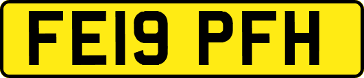 FE19PFH