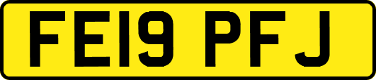FE19PFJ