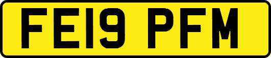 FE19PFM