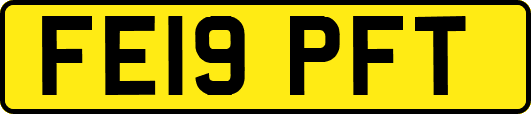 FE19PFT