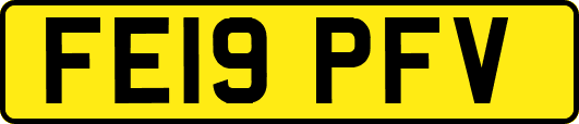 FE19PFV