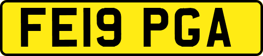 FE19PGA