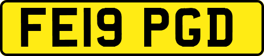 FE19PGD