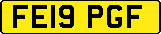 FE19PGF
