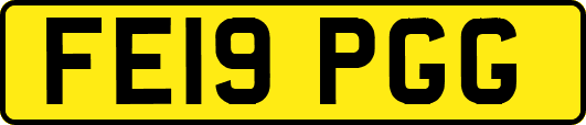FE19PGG