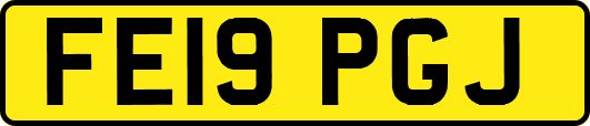 FE19PGJ