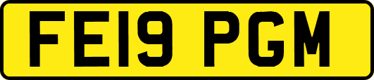FE19PGM