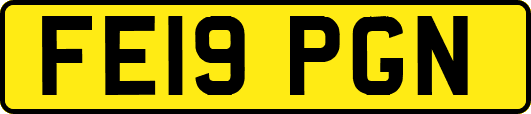FE19PGN