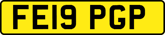 FE19PGP