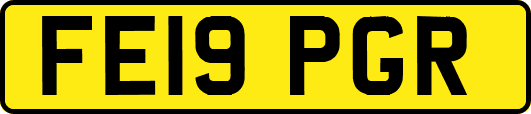 FE19PGR