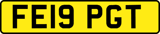 FE19PGT