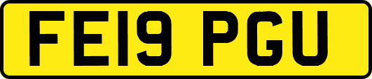 FE19PGU