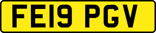 FE19PGV