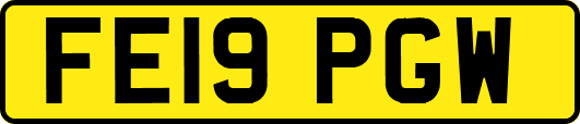 FE19PGW