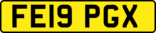 FE19PGX