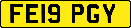 FE19PGY