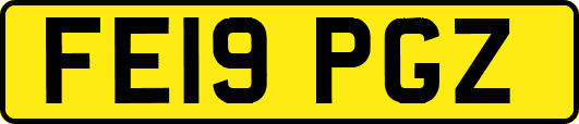 FE19PGZ