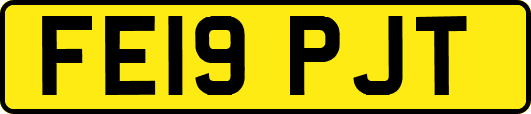 FE19PJT