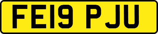 FE19PJU