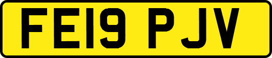 FE19PJV
