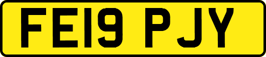 FE19PJY