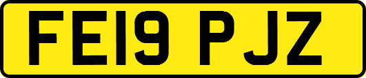 FE19PJZ