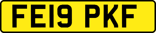 FE19PKF
