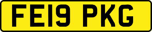 FE19PKG