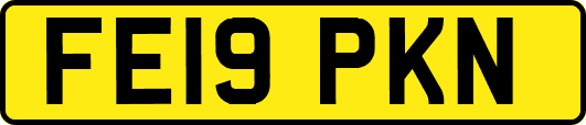 FE19PKN