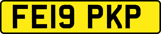 FE19PKP