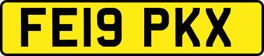 FE19PKX