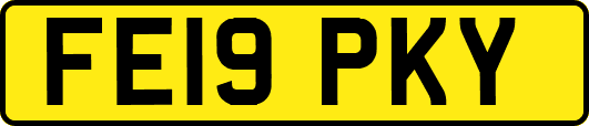 FE19PKY