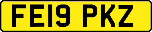FE19PKZ