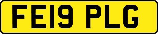 FE19PLG