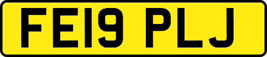 FE19PLJ