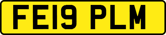 FE19PLM