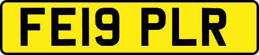 FE19PLR