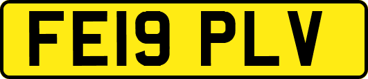 FE19PLV