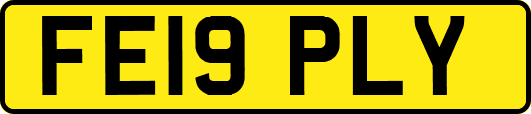 FE19PLY