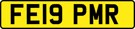 FE19PMR