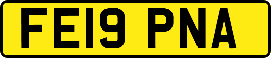 FE19PNA