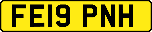 FE19PNH