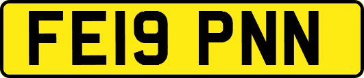 FE19PNN