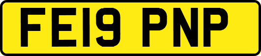 FE19PNP