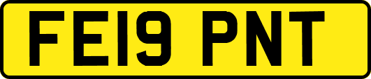 FE19PNT