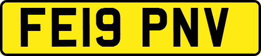 FE19PNV