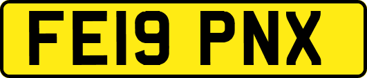 FE19PNX