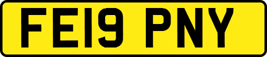 FE19PNY