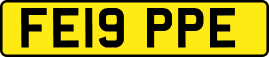 FE19PPE
