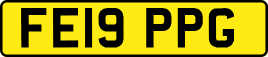 FE19PPG